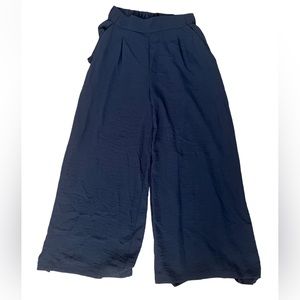 Blue H & M wide leg parachute pants
